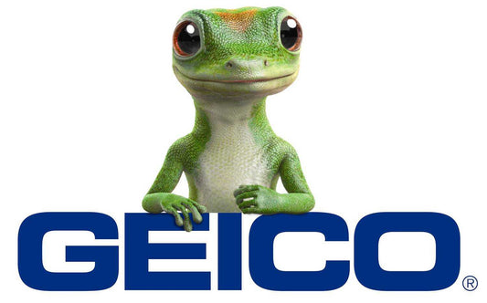 Geico ordered to pay Missouri woman $5.2 million after she contracted STD in a car Create History Clothing