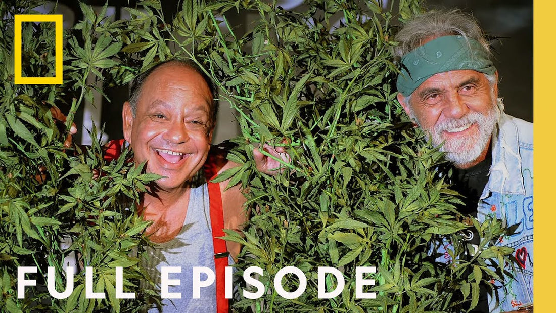 Legal Marijuana in America: The New Green Rush (Full Episode) | Nat Geo Investigates